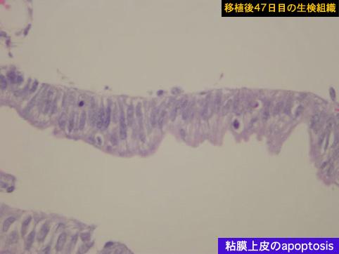 ID:10080