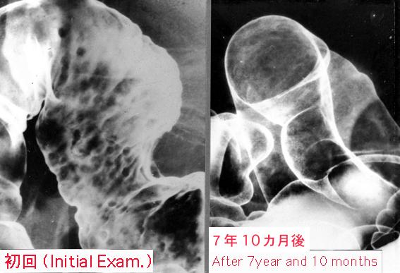 画像ID:1734