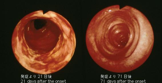 画像ID:1755