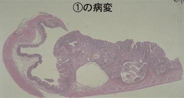 画像ID:1906