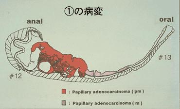 画像ID:1907