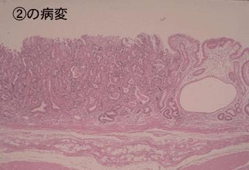画像ID:1910