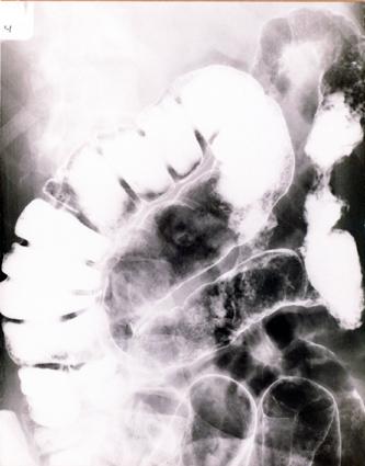 画像ID:2014