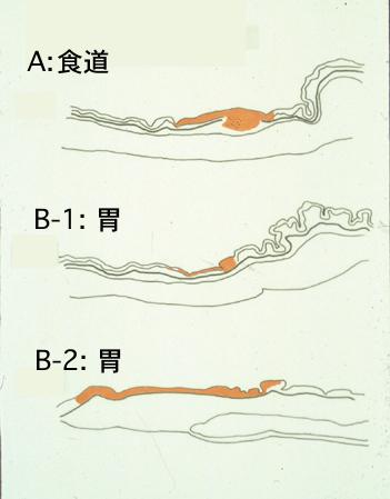 画像ID:2235