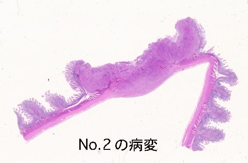 画像ID:2352