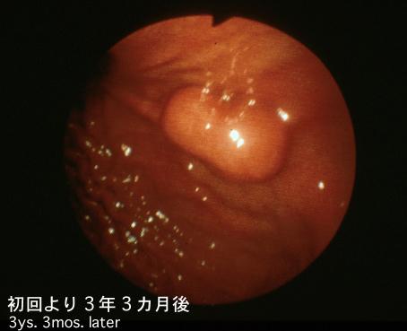 画像ID:2422