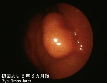 画像ID:2423
