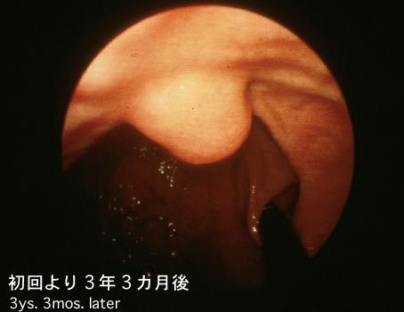 画像ID:2424