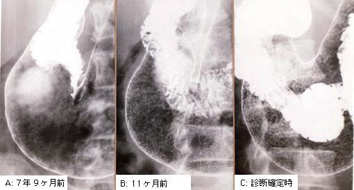 画像ID:2493
