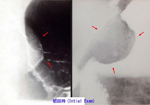 画像ID:2684