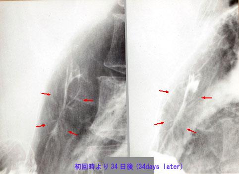 画像ID:2685