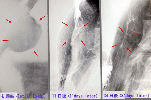 画像ID:2687