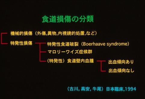 画像ID:2695
