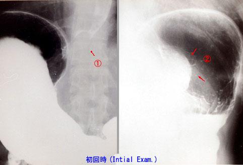 画像ID:2698