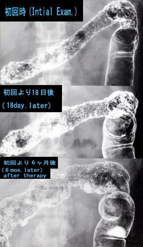 画像ID:2826
