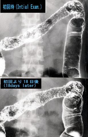 画像ID:2827