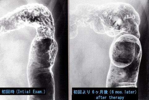 画像ID:2833