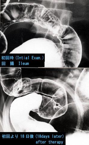 画像ID:2834