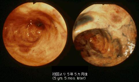 画像ID:539