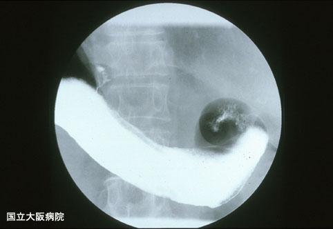 画像ID:3068