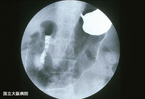 画像ID:3069