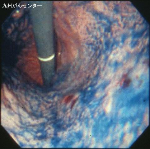 画像ID:3183