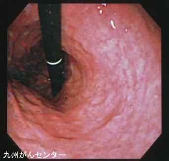 画像ID:3189