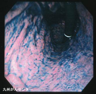 画像ID:3195