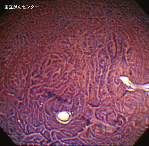 画像ID:3231