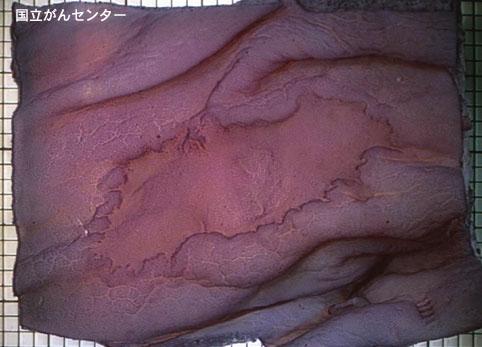 画像ID:3255