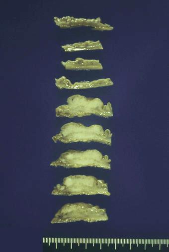 画像ID:413