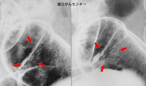 画像ID:3453