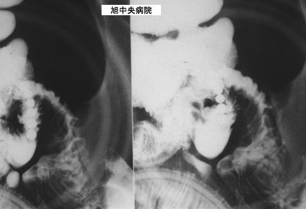 画像ID:3487