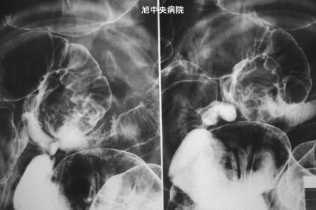 画像ID:3495