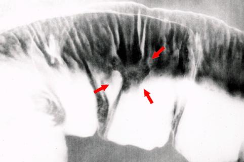 画像ID:730