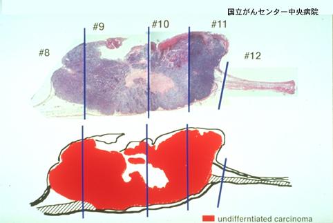 画像ID:3619