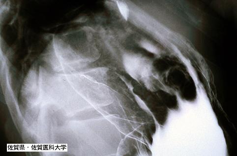 画像ID:3645