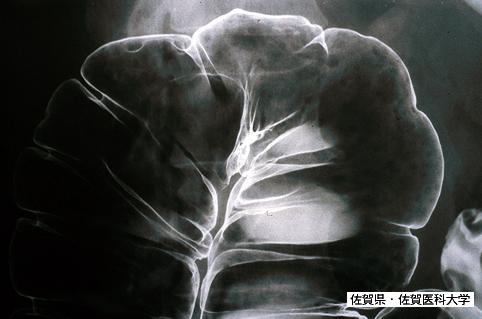 画像ID:3653
