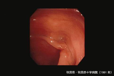 画像ID:3673