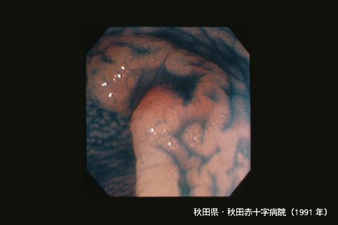 画像ID:3676