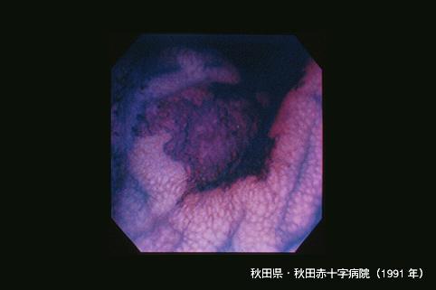 画像ID:3677