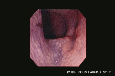 画像ID:3678