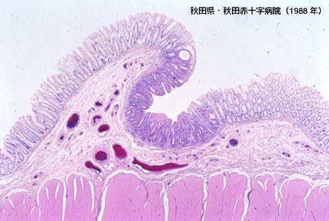 画像ID:3704