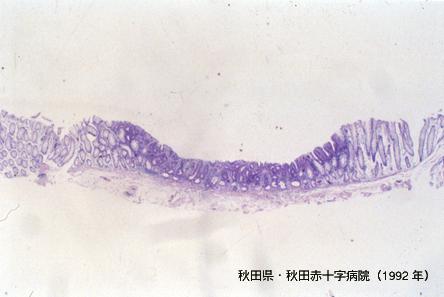 画像ID:3713