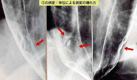 画像ID:3878