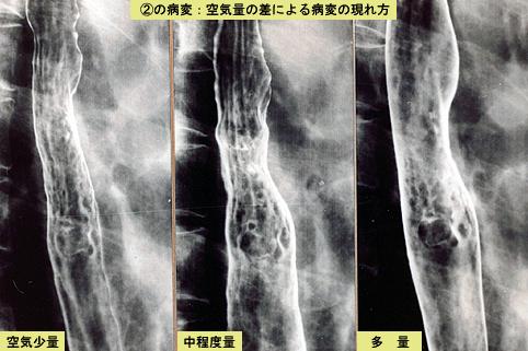 画像ID:3882