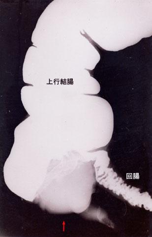 画像ID:3897