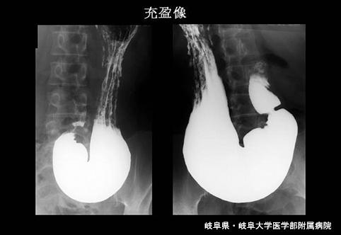 画像ID:3906