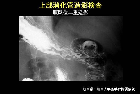 画像ID:3928