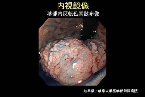 画像ID:3933